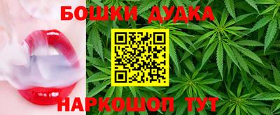 мдпв Лесосибирск