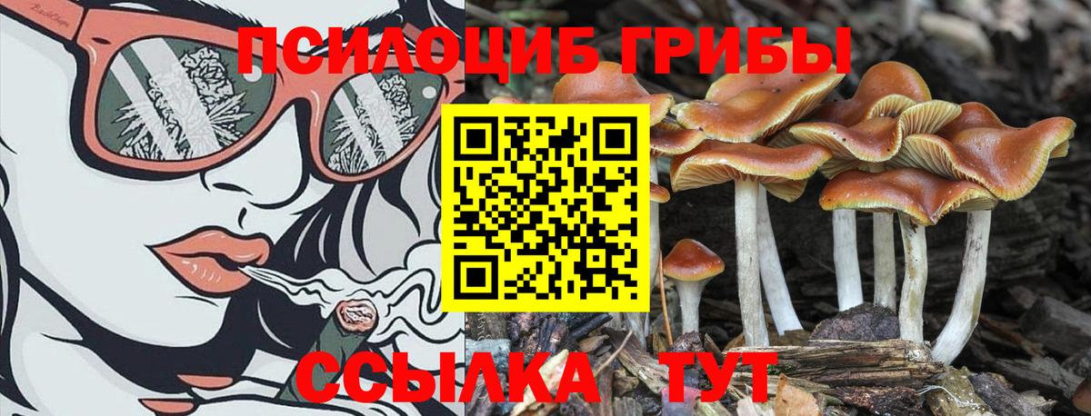 Галлюциногенные грибы ЛСД  Вход с VPN  Псилоцибиновые грибы Magic Shrooms  Чистополь 